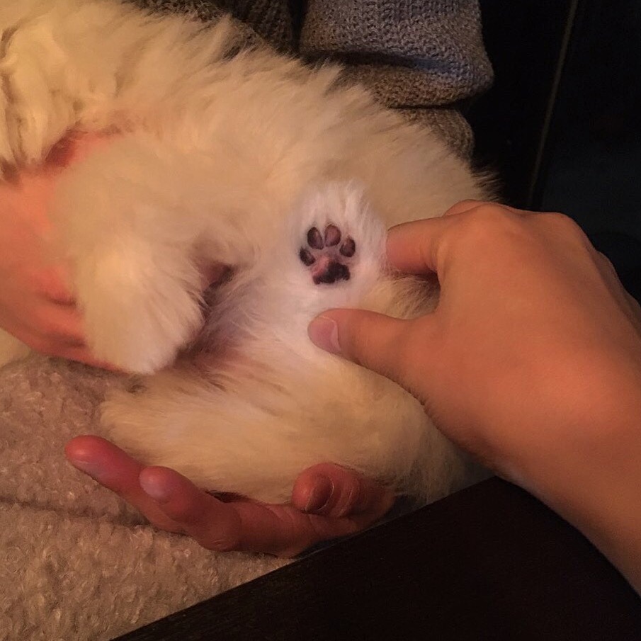 leesurin:ì•„ë‹ˆ ìˆœì •ì•„ =_= ì§„ì§œ ê·€ì—¬ì›Œì„œ
