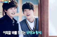 myotherland:  Dummy Woobin 