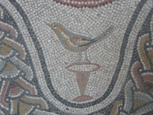 romegreeceart:Palazzo Massimo - Bird mosaics * Rome, Porta Ardeatina* 3rd century CERome, July 2015