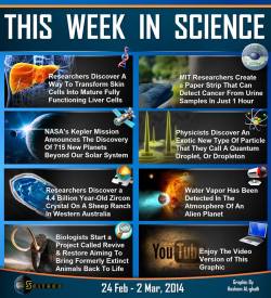 scienceyoucanlove:  Science Summary of The