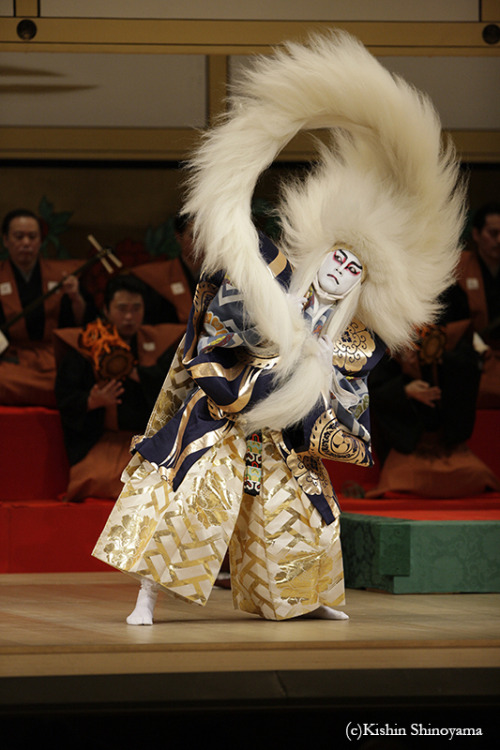 Shunkyō Kagami Jishi, or simply Kagami Jishi (‘Mirror Lionʼ) is a dance play (shosagoto) telling a s