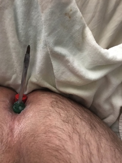 I love things in my ass. Don’t be so homophobic and try it. It’s amazing, I’m straight and proud of my anal fetish. Long live male anal! Lol  –  Preach, brother! Thanks for prea…I mean, submitting!