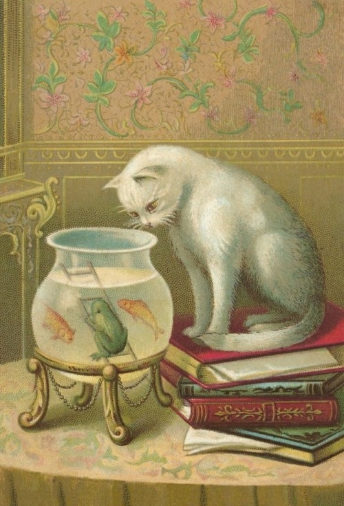 Unknown Artist - Cat watching Frog and Fish.  Postcards