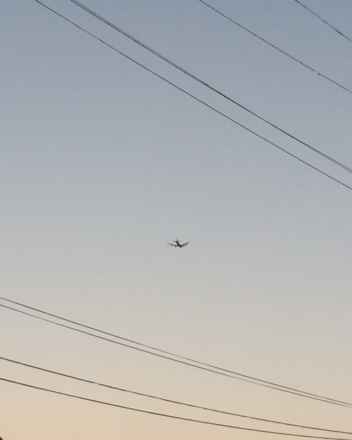 I want to fly away to you