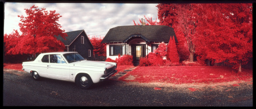 Kodak color infrared film // 35mm Widelux