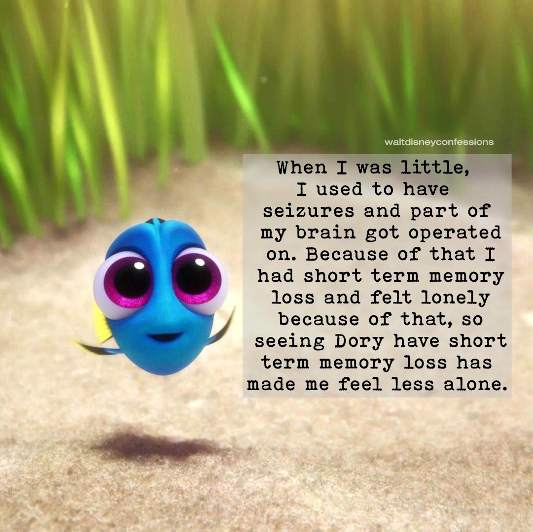 short term memory dory