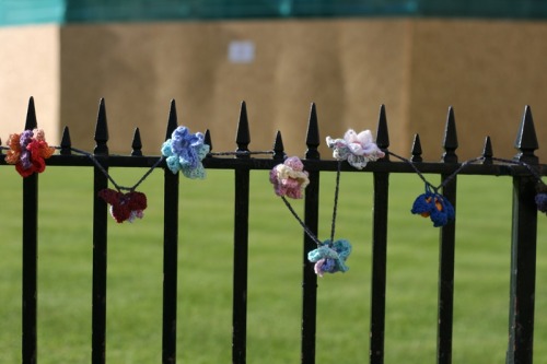 Guerilla knitting in Radcliffe Square, Oxford. I almost walked straight past these - I only stopped 