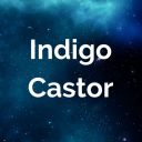 indigocastor avatar