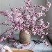 fleur-aesthetic:instagram | jannelford 