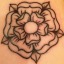 roseetarrows