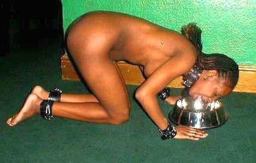 blackslut18:  I want to be your pet