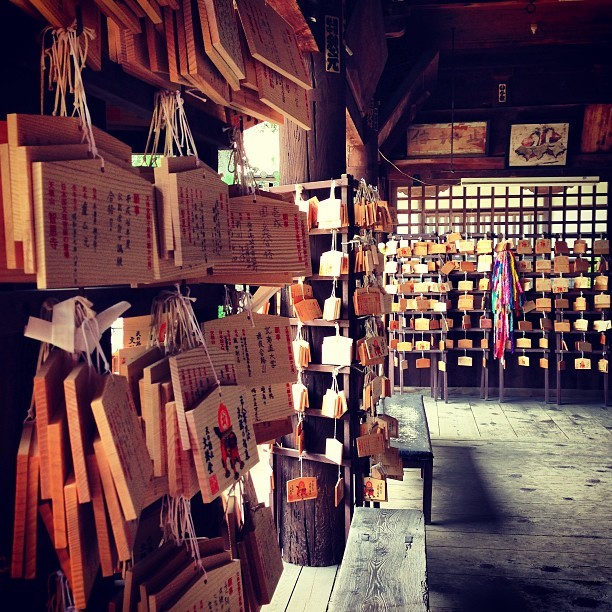 instagram:  Exploring Kyoto’s Amanohashidate Sandbar (天橋立)  For more photos