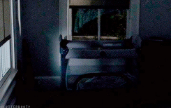 clutterbooty:  the grimes family during an extended scene from remember 