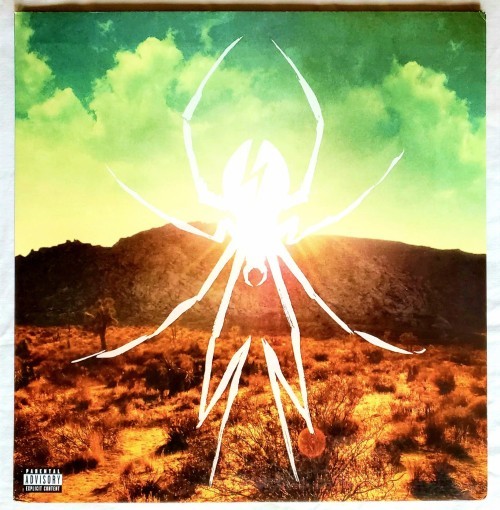 vinylkilledtheradiostar