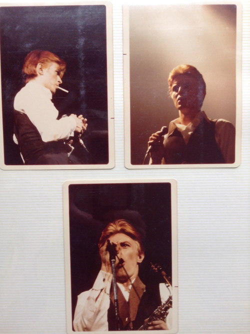 secretempires:  Previously unpublished photos of David Bowie performing as The Thin White Duke on the Isolar Tour to promote Station To Station, Vancouver, 2.2.76. 