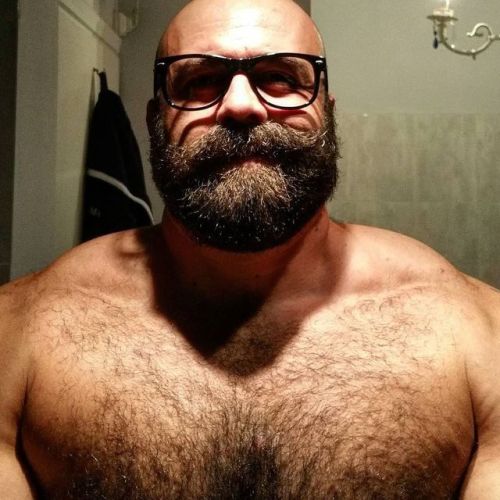 bears daddies grandsome-one