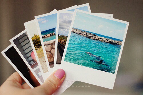mitten:  follow for more!