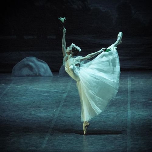 jrusevich:GisellePhotos: M. Olich