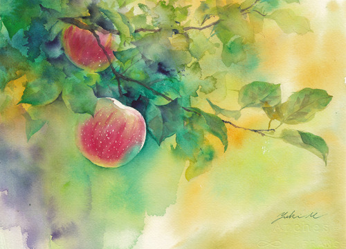 Follow me on Instagram.https://www.instagram.com/miyamachiyuki/***実り（Harvest）Jan.29,2021watercolorsi