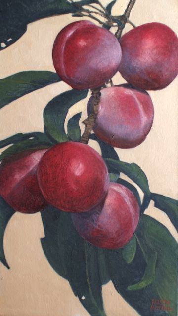 lotussed:Alison Mitchell, Satsuma Plums, 72 x 40cm