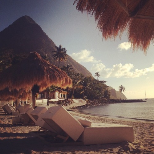 bblusher:  flowah-er:  royal-barbies:  ღ rosy blog ღ  r❀sy  ♡ r o s y ♡ b l o g ♡ 