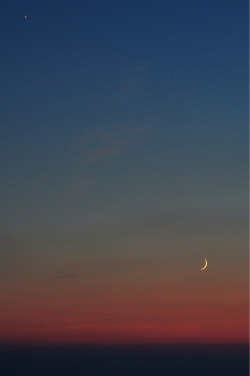 nichvlas:  Venus and Moon (by hidesax)