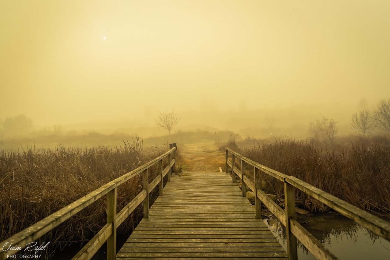 sapphire1707:  Fog -3 | by QuimRafel | http://ift.tt/1xiHRLQ