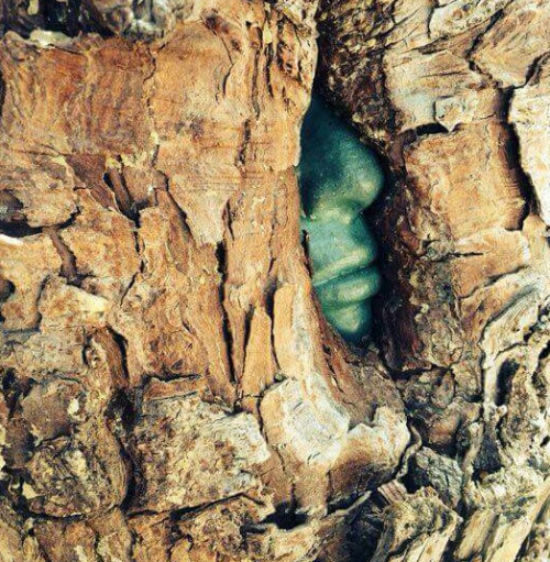 duskwightscholar:  sixpenceee:  This tree adult photos