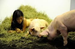 luke120577:  Can’t you see the unity? This is natural.  daddy made lola his prize fuck animal. now she waits for him to come to her stall with his big overfed porndong swinging in front of him, big hairy bullballs hanging between his thighs filling