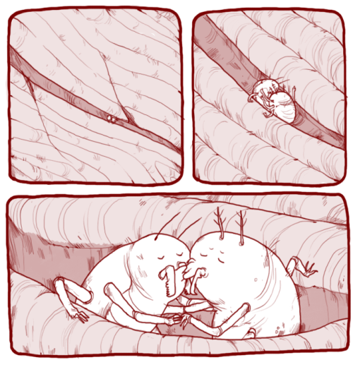 iguanamouth: happy valamementimes