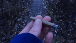 st0nertrash:  blunts and trails~