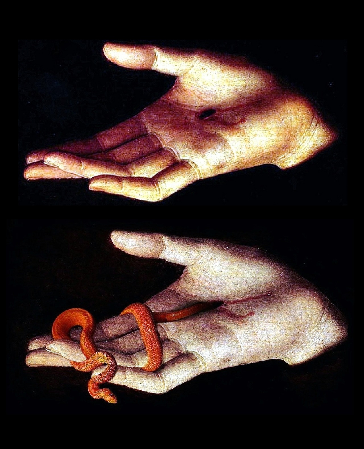 hadrian6:  Detail : Christ Blessing. 1485. Hans Memling. German 1430-1494. oil/oak. 