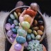 touchmymindfirst: