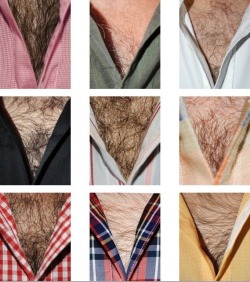 maturehairydaddies:ASK ME ANYTHING   SUBMIT HERE ;) ARCHIVE IS THIS WAY!!!!  FOLLOW ME FOR MORE MATURE HAIRY DADDIES 