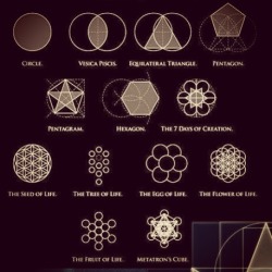 justanotherwanderingmind:  Sacred geometry basics!