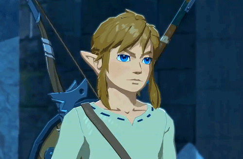 hyliansheik:  Link… you are the light – our light – that must shine upon Hyrule