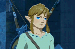hyliansheik:  Link… you are the light – our light – that must shine upon Hyrule once again.