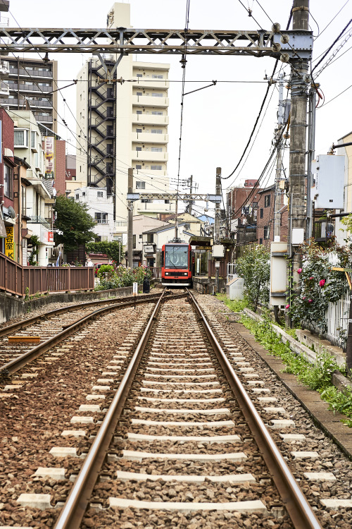 「三ノ輪橋 - 35mm F2.0」久しぶりの三ノ輪橋荒川線は予想に反して激混みJoyful三ノ輪橋だって結構な人出曇りということで久しぶりにNokton Classicを持ち出してみたけどいつもの美