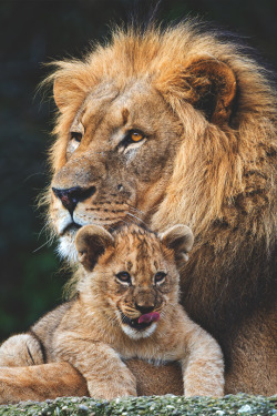 imposingtrends:  Dad and his son | ImposingTrends | Facebook | Instagram