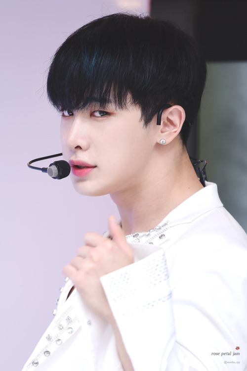 monstaxwh:© rose petal jam ⁘ do not edit.