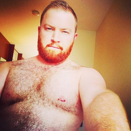 bearweek365:That #gingerbeard tho… Mr. @gerrardwoodward #bearweek365 #beefyboys