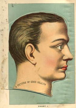  Flip-Book Style Anatomy Charts [early 20th