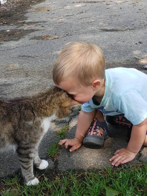shipinsight: everythingfox:“A boy meets his first kitty, head bonks were had by all.”(Source) This s