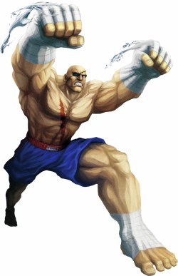 albruce-jzcruzer-captainx:  “You’re not a warrior; you’re a beginner!” - Sagat