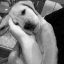 dawsha77