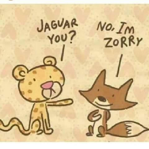 fr3n3si:  XDDDDDDDDDDD