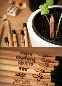 lovelyom:  brain-food:  What if instead of throwing your pencil stubs away when they´re too short to use, you could plant them, add some water and watch them grow? Meet Sprout, a pencil with a seed! The high quality pencil features a water activated