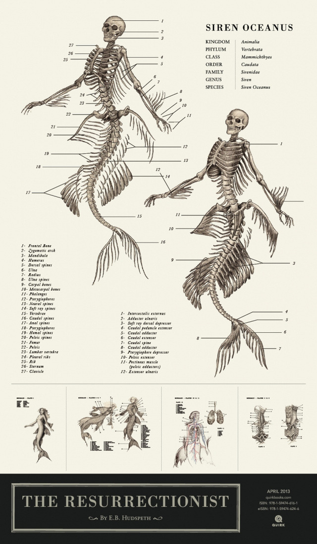 odditiesoflife:  Anatomy of Mythological Creatures From the wickedly creative mind