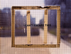 v-eck:  I Can’t Escape This, Brendan George Ko