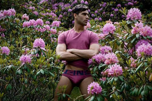 rickday:  Fabio Mancini